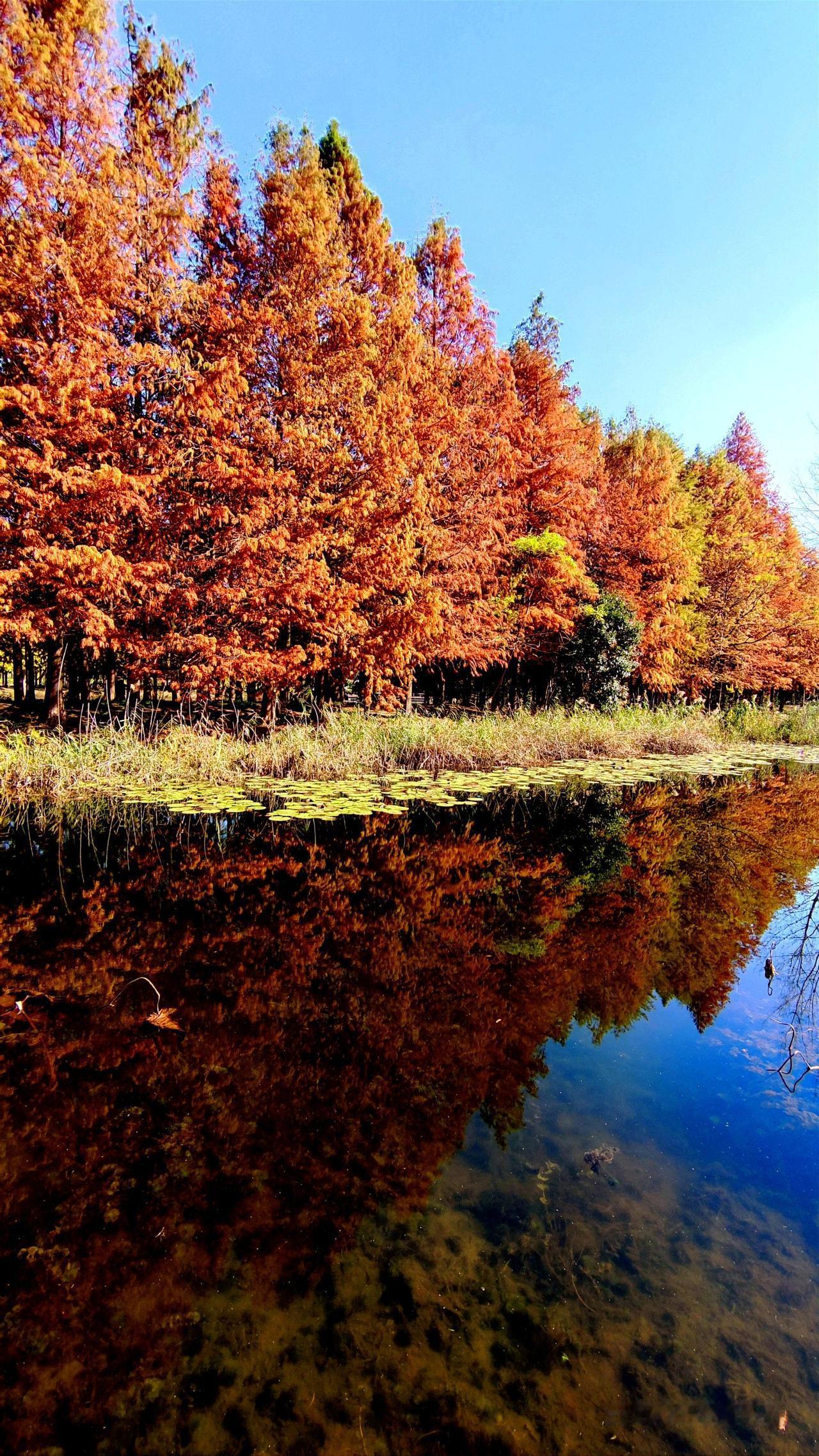养生就是为了多活几年吗?身边越来越多人加入养生大军：90后捧着保温杯泡枸杞