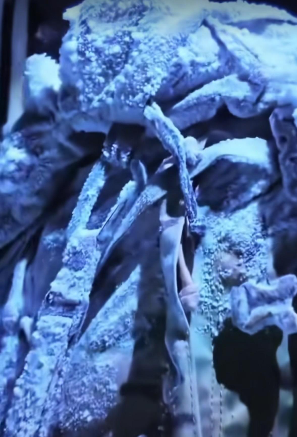 冬季雪天上鳌太线就是去送人头，这四个人和领队胆子都是够大的，还不如刚开始就被抓，