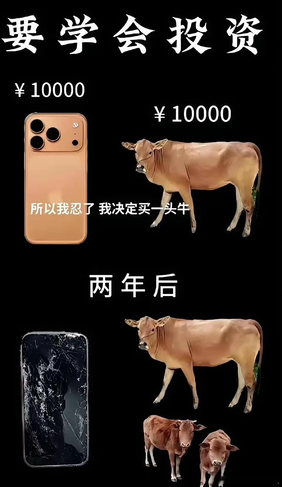 想换手机的念头，在这一刻彻底释怀了。