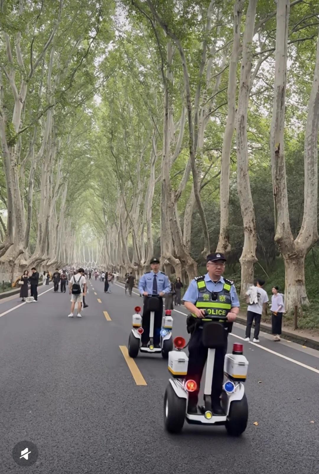 呼吁南京文旅这条路通车不通人月底可能去南京，呼吁@南京文旅频道，梧桐大道上请