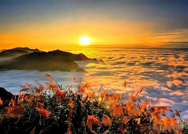 今天在小姑子家吃饺子，我见识了一种极俭极健康的生活。今天临时起意去小姑子家