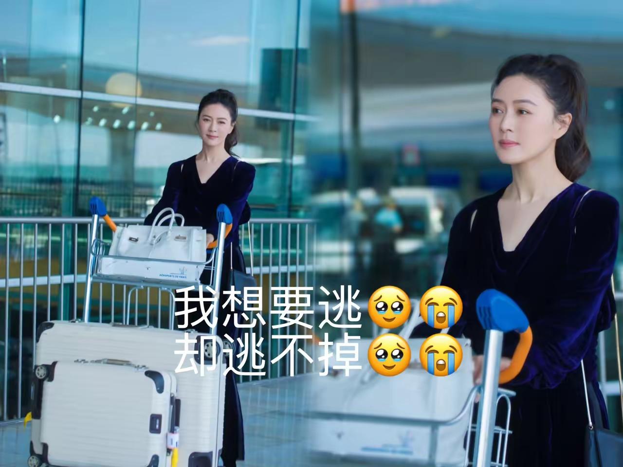 这影视圈的瓜简直比连续剧还精彩！上海法院一张冻结通知，直接让田海蓉1亿资金动