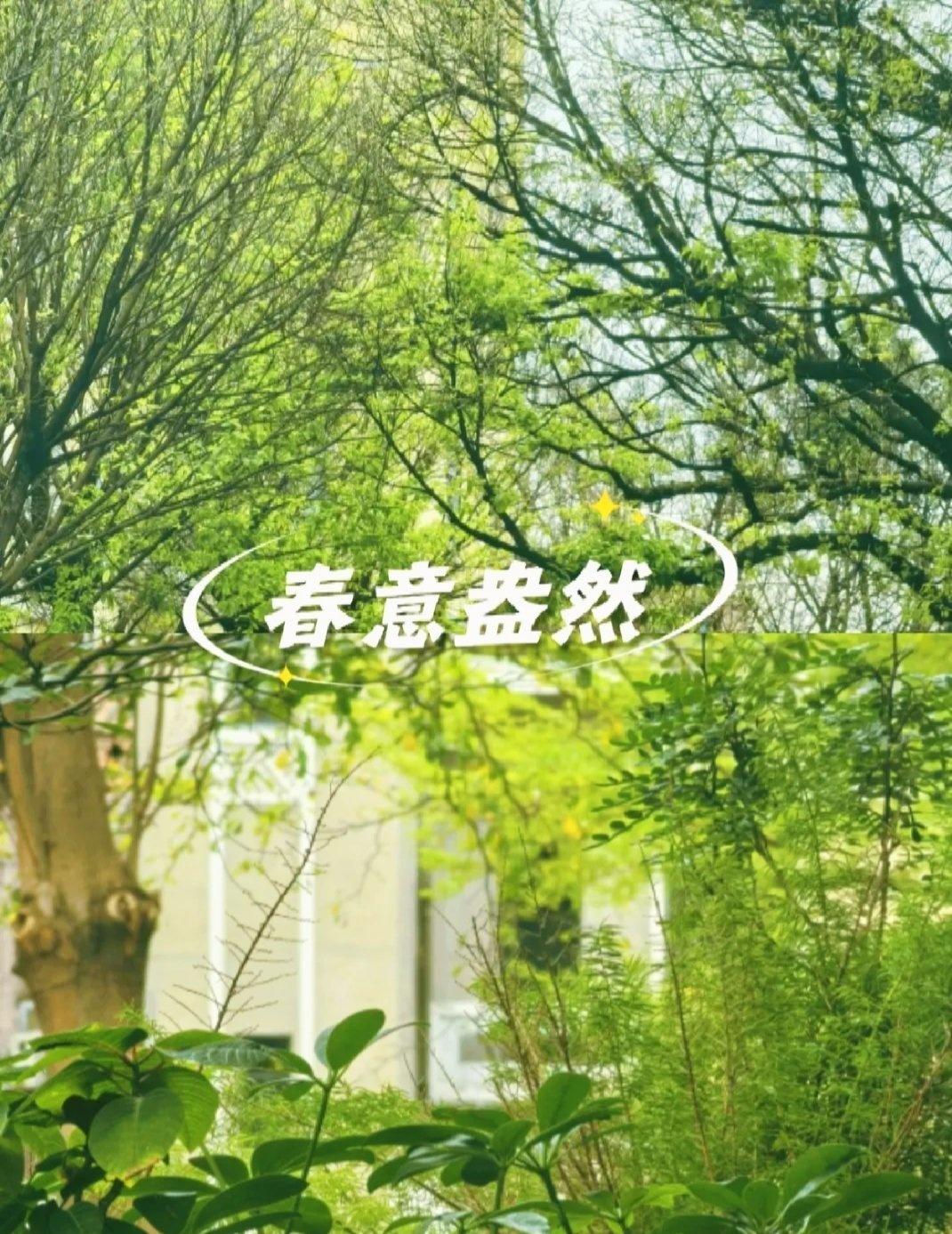 春意暖羊城🍀不小心被春天撞个🈵怀📍广州那天从「海珠广场(地铁