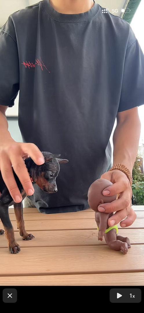娜塔莎暴力擦边有商家却称幼儿能玩尤其是这种👇，好猎奇啊，真的无语😓