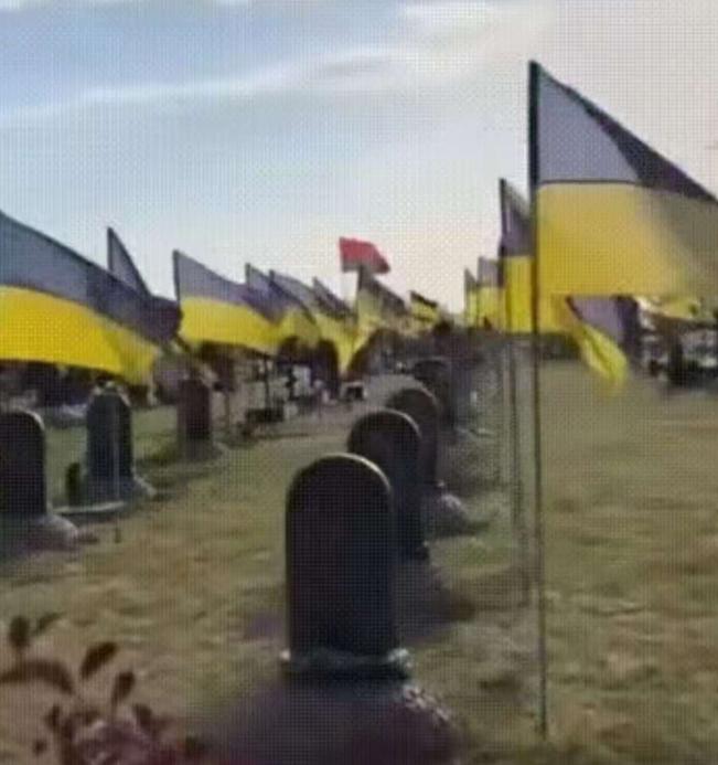 俄乌战场现百国证件，乌军半数是外人，阵亡名单藏着大秘密。俄军在乌克兰红军城清理