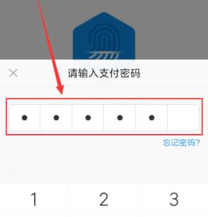 一位美国华人表示，中国的手机支付是最傻的事情，每次都需要掏出手机扫码，输入密码才