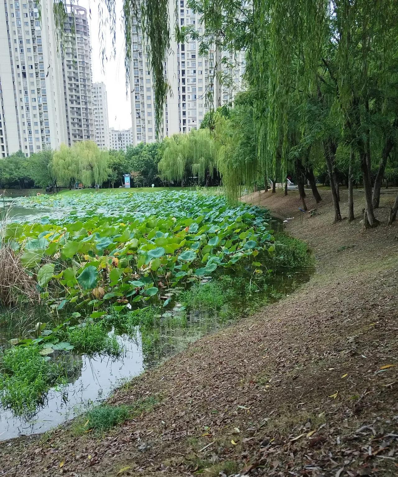 兴趣是最好的老师近段时间，孩子对英语提不起兴趣，对英语作业也有些厌，我和孩子爸