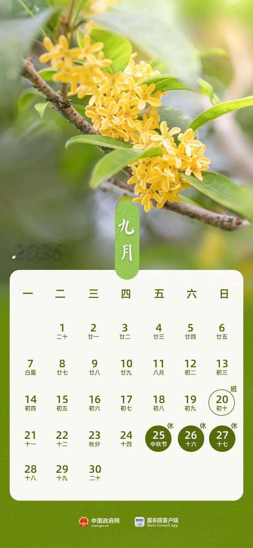 别骂调休了！你天天能见爹妈，我却只有这几天能回家！网上骂调休的，你们可能真不缺