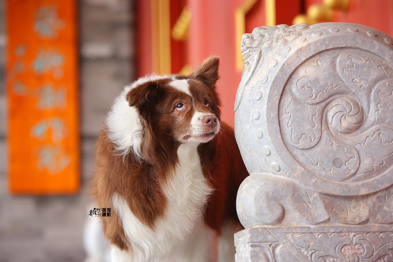 我的妈呀，这图一不就是这个表情吗？！[狗头][狗头][狗头][狗头]紫禁城下