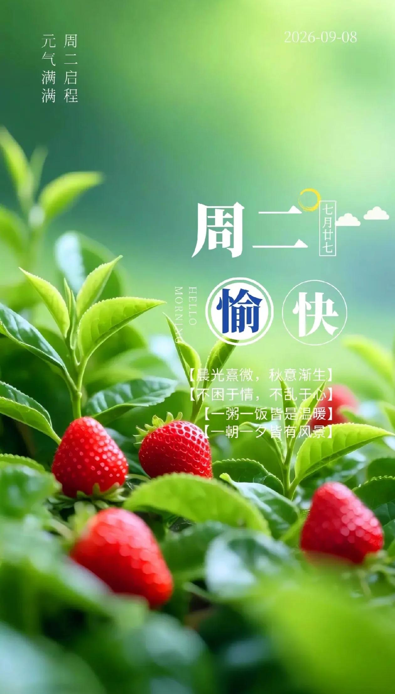 秋晨寄语，秋染千山，溪润佳木，感受岁月赠予的恬淡。2026./09.08.[