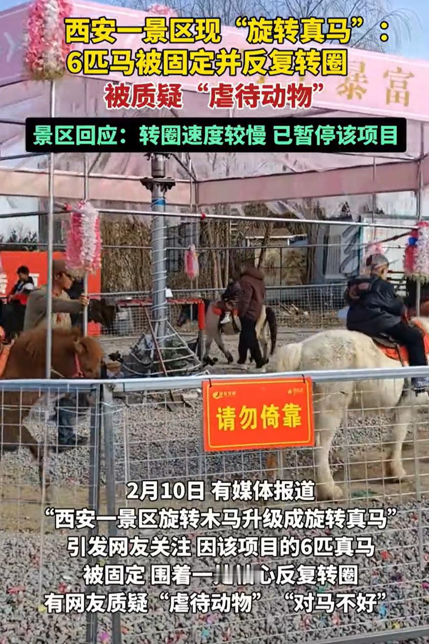 陕西西安，一女子去景区游玩时，发现景区把旋转木马变成了“旋转真马”，将六匹马固定
