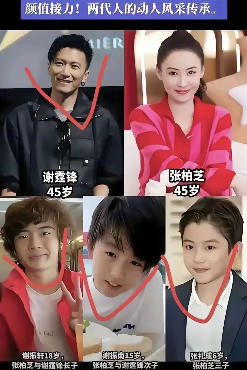 最近刷到张柏芝三个儿子的近照，真忍不住感慨：同是一个妈生的，颜值差距也太大了！