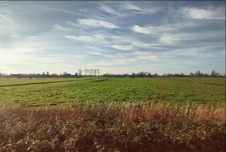 德乙：明斯特普鲁士-汉诺威96在德乙你如果想看哪支球队能稳定在客场开秀的，那今