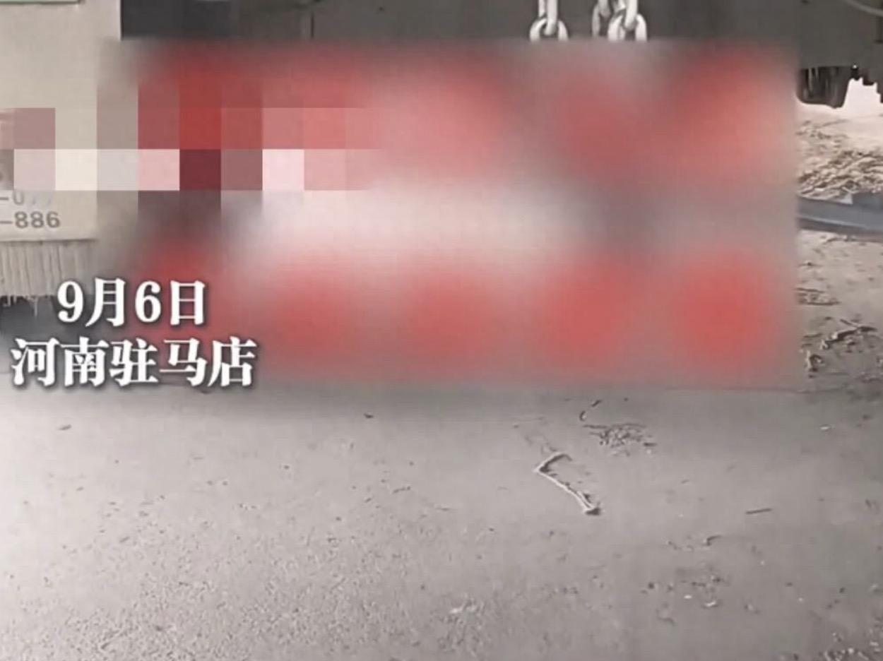 这个网名叫伏闯闯的货车司机，你欠驻马店人一个公开的道歉！事情的起因是这位货车司