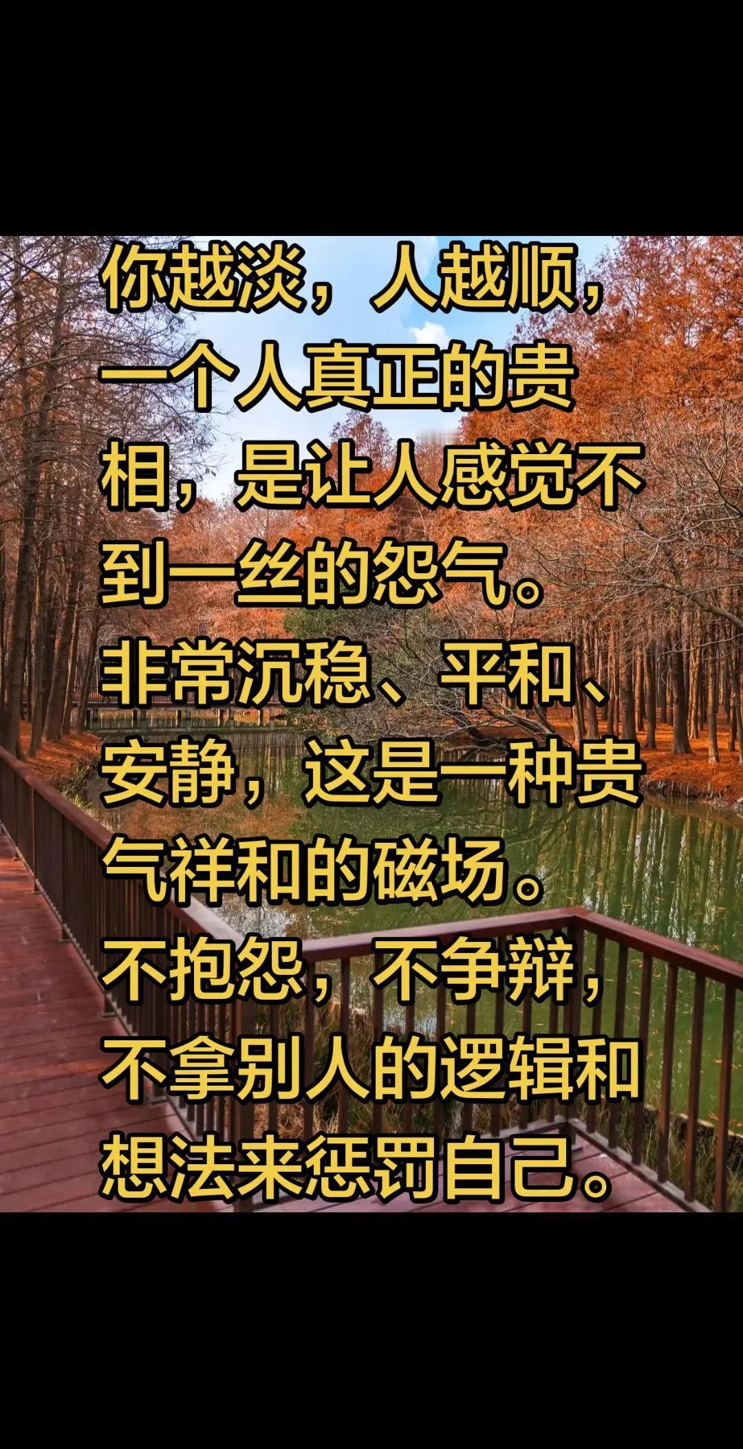 你越淡，人越顺，一个人真正的贵相，是让人感觉不到一丝的怨气。非常沉稳、平和、安静