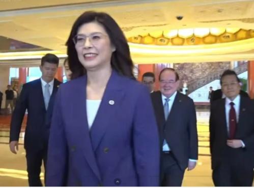 看得出来，郑丽文在人民大会堂的讲话难掩激动的心情，但始终在保持激情的同时又多了一