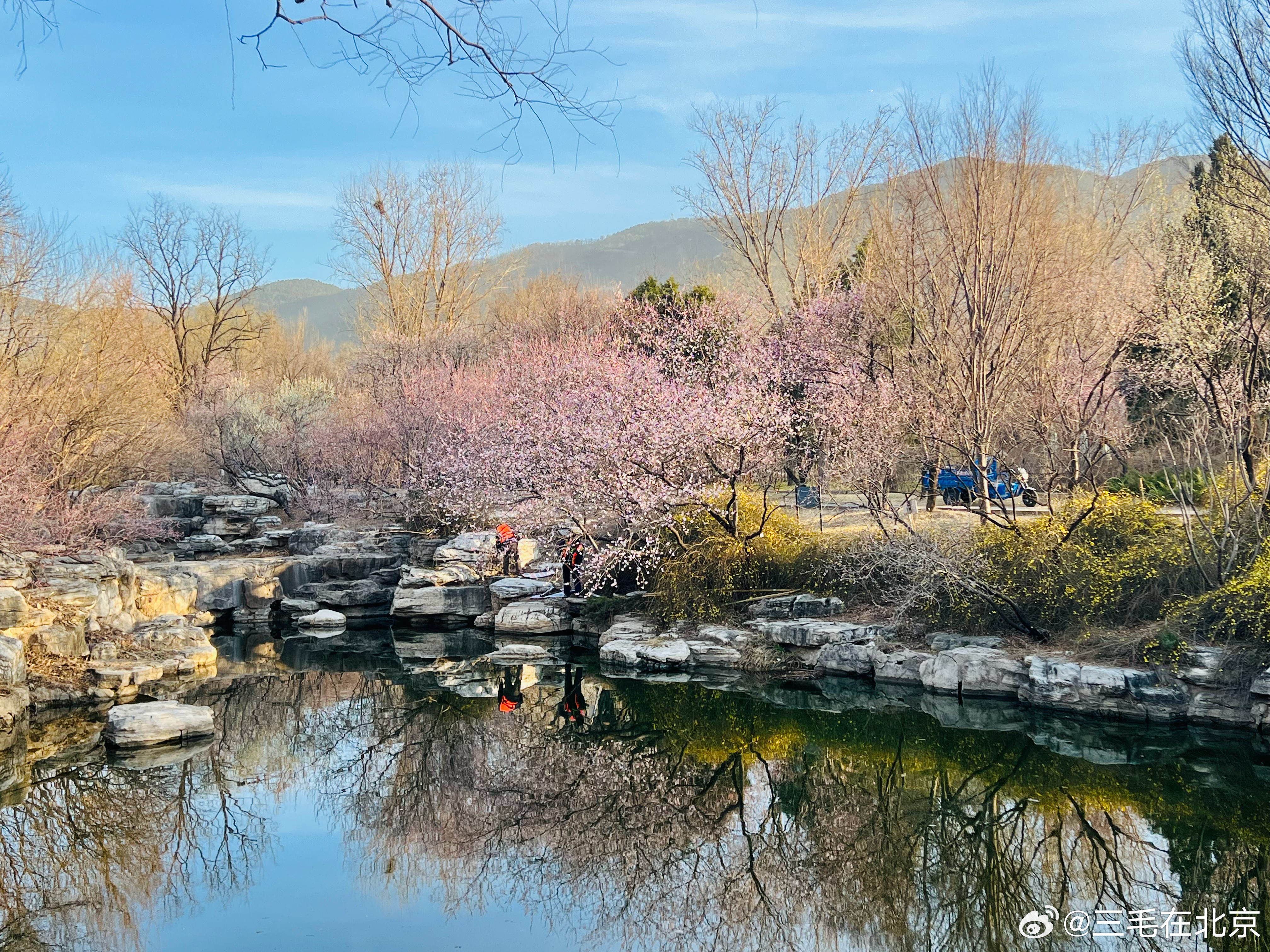 国家植物园春色满园摄影