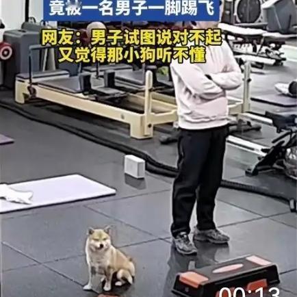 笑不活了！江苏，一男子在健身房和别人聊天时，不慎将健身房的一只狗子给踢飞了，自此
