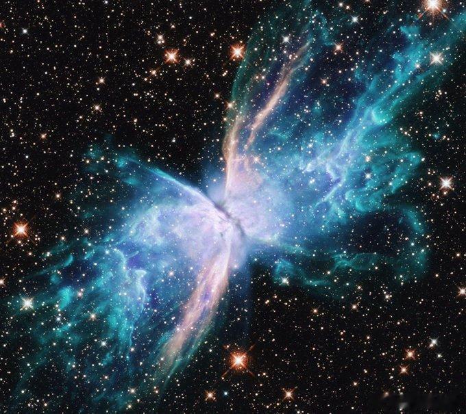 一颗宇宙蝴蝶，凝固在其最后一次剧烈的舞蹈中。利用近红外视觉，哈勃望远镜揭示了NG