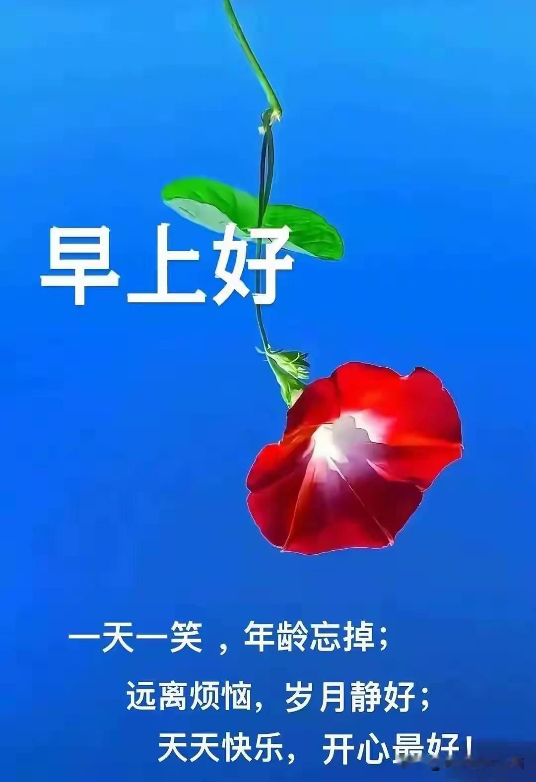 一个微笑，迎来平凡的一天。一天信息，传递真诚的祝愿。一句问候，送给您快乐平安