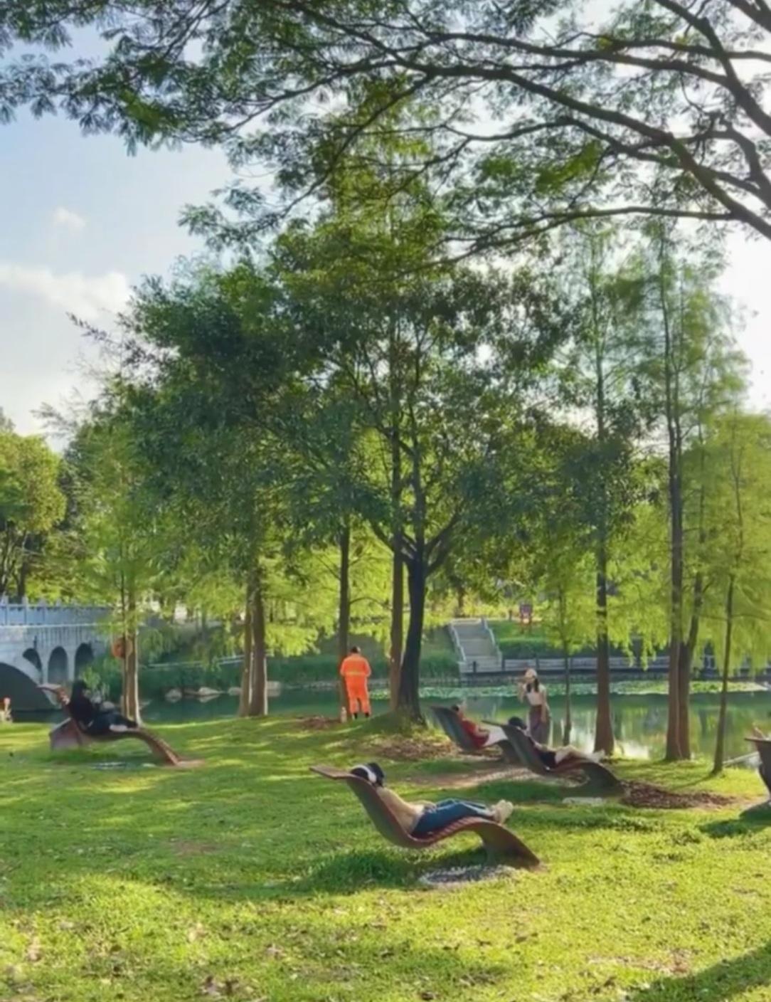 这样的公园谁能不爱？