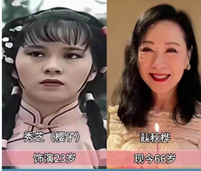 电视连续剧《霍元甲》里的秀芝，在现实生活中依旧这般漂亮，我觉得她堪称不老女神了。