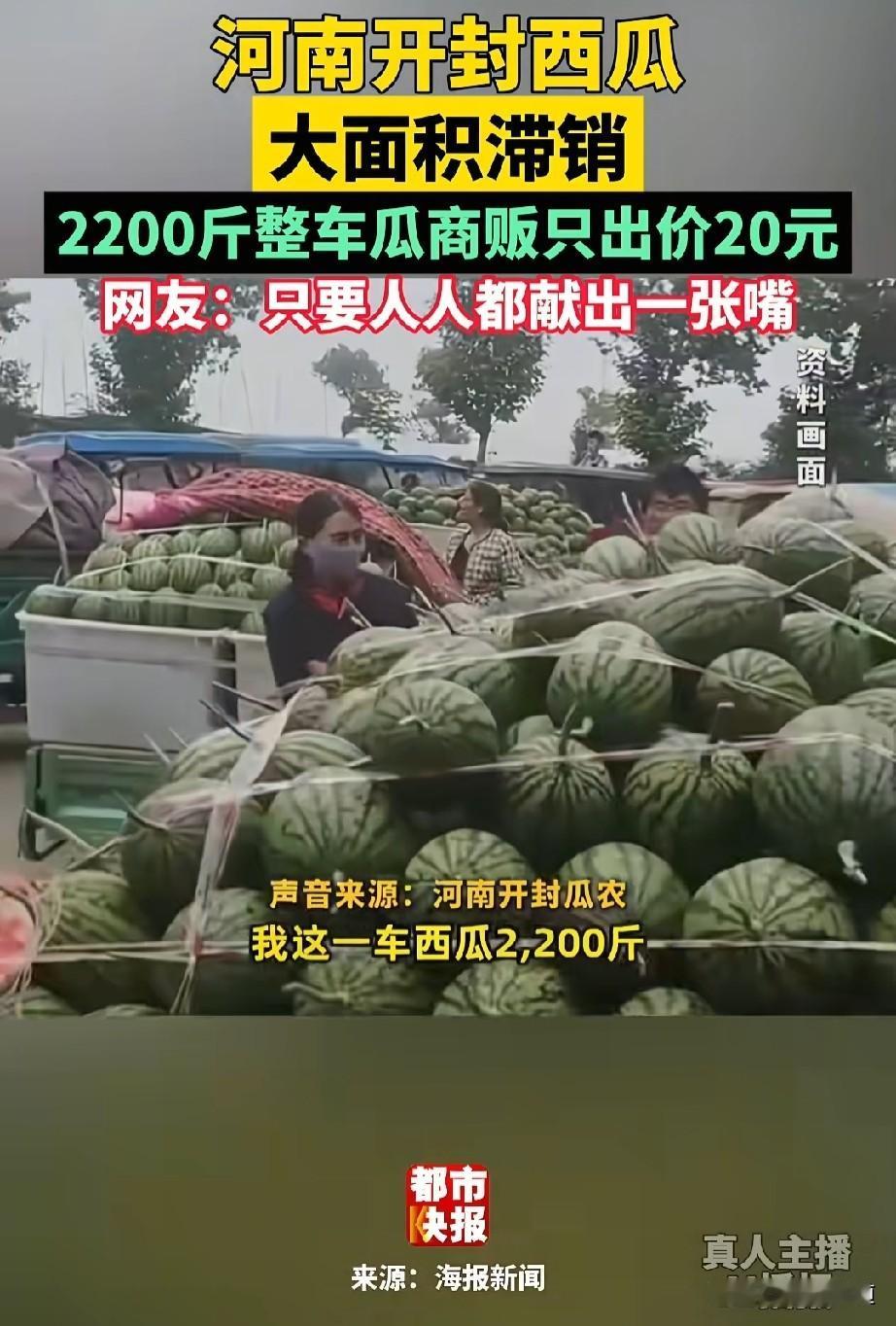 河南西瓜滞销，牵动了很多网友的心，2000多斤西瓜，瓜贩子只出20多块钱收。这已