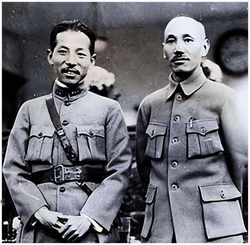 很多人以为，蒋介石恨张学良，只是因为西安事变丢了面子！真相根本没那么简单，这是蒋