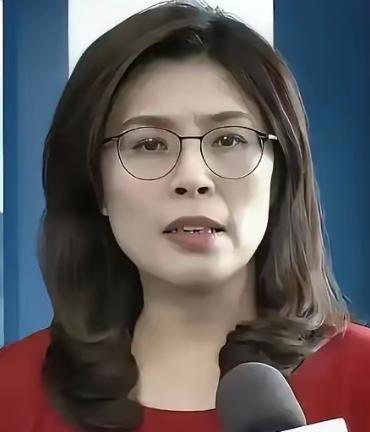 实在不行求大陆吧！国民党主席郑丽文发布声明：台湾现在快没气烧了，天然气库存只剩一