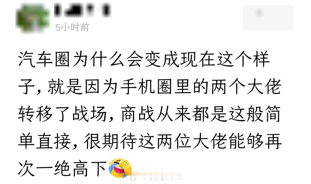 有几分道理，当然不全对，因为除了这两个手机行业杀进来的巨无霸，本身还有比亚迪、吉