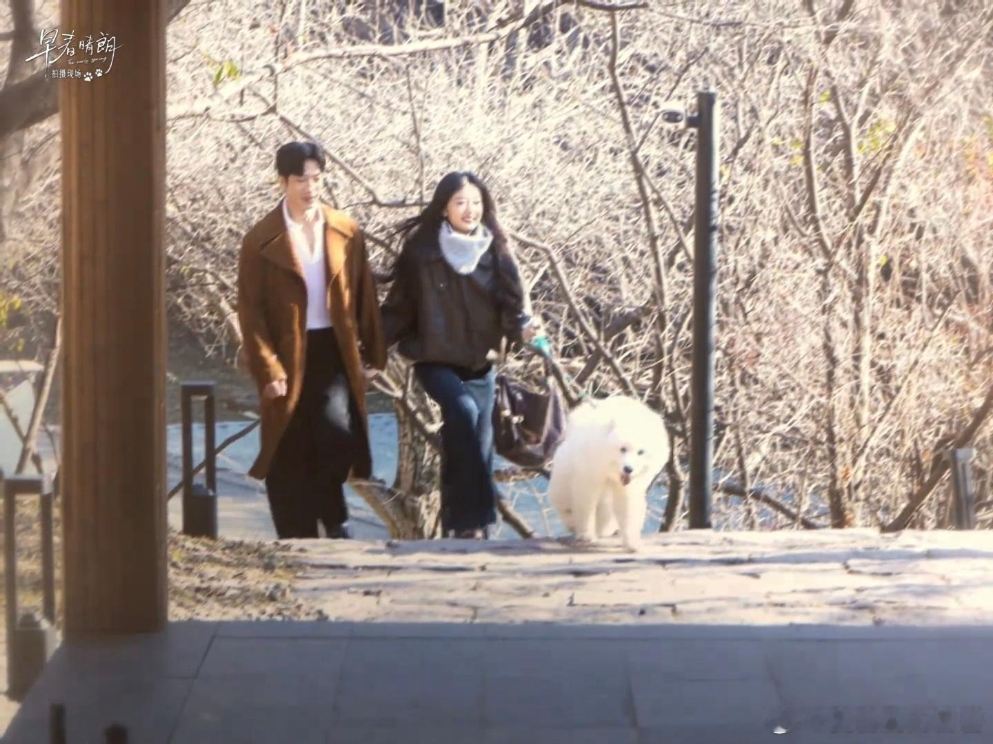 剧集早春晴朗卢克：栾念与桃桃的团宠小狗卢克妥妥的全家团宠。不管是两个人一