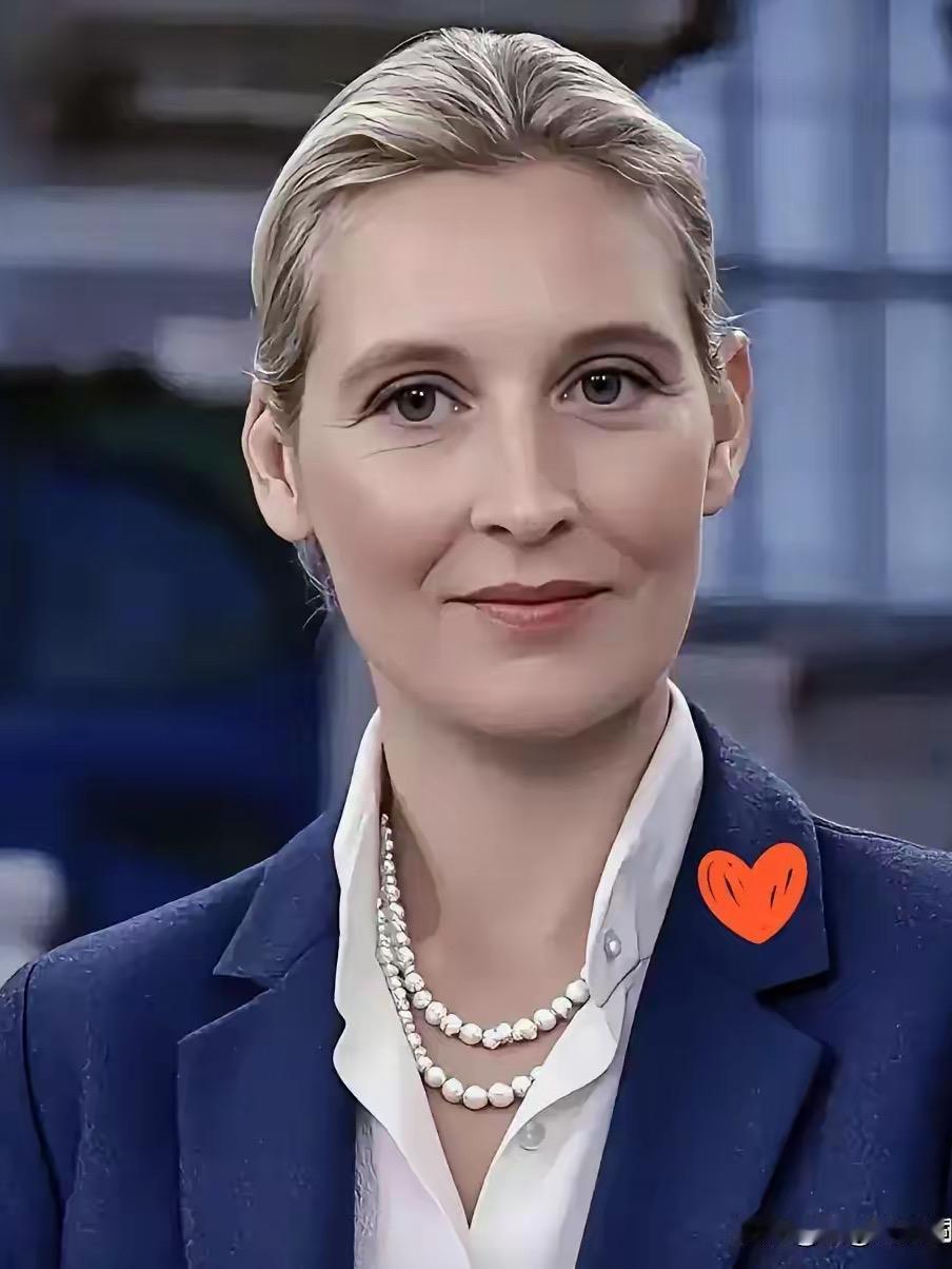 太透彻！魏德尔一句话戳破美国真相：能让它认怂的，只有抗美援朝美国换