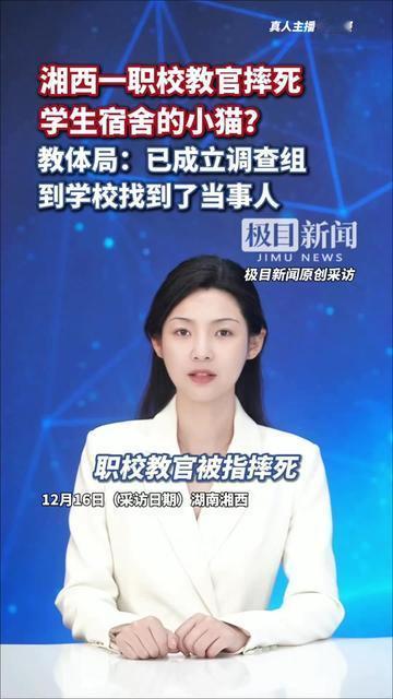 湘西职校的学生今早哭着翻宿舍楼下的草坪！他们养了半年的小橘没了，就是那只