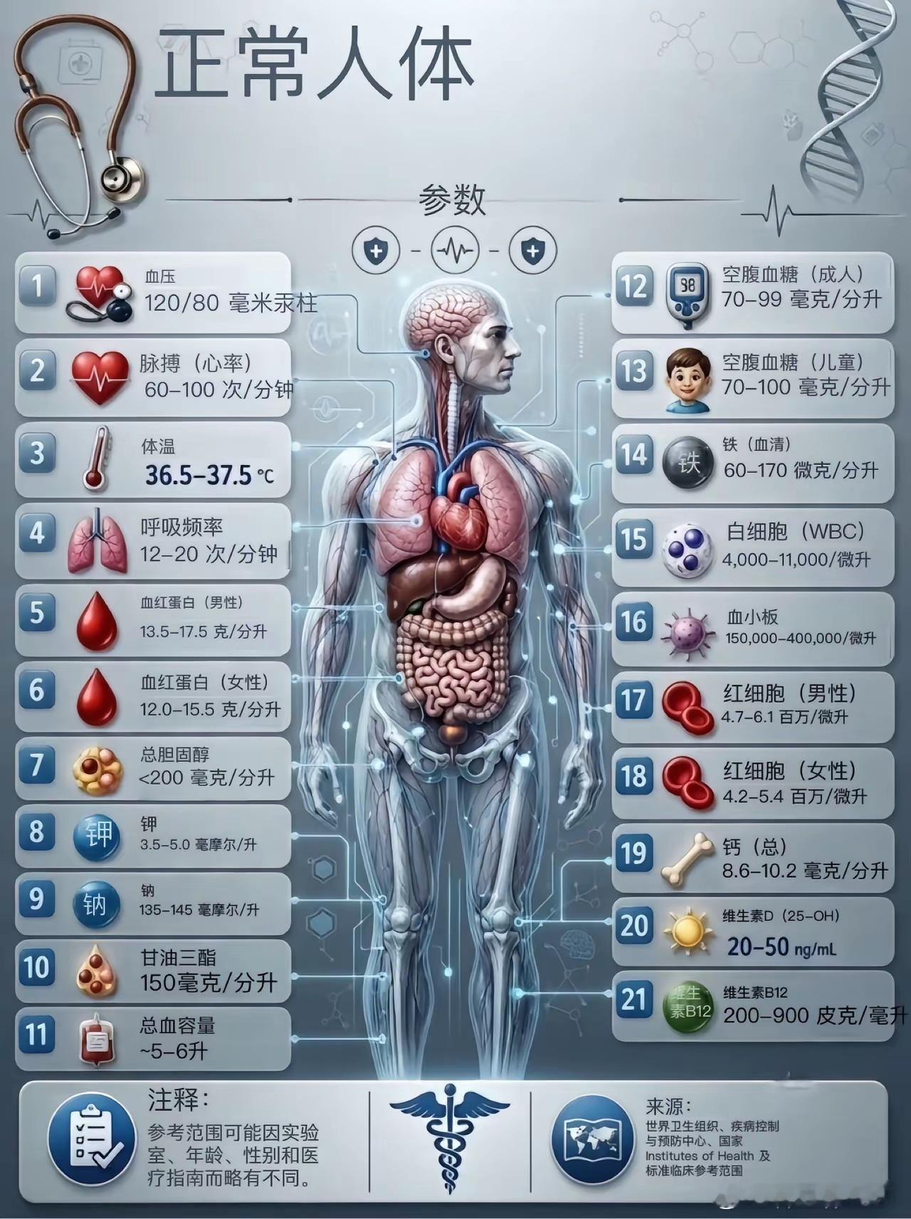 正常人体参数​​​