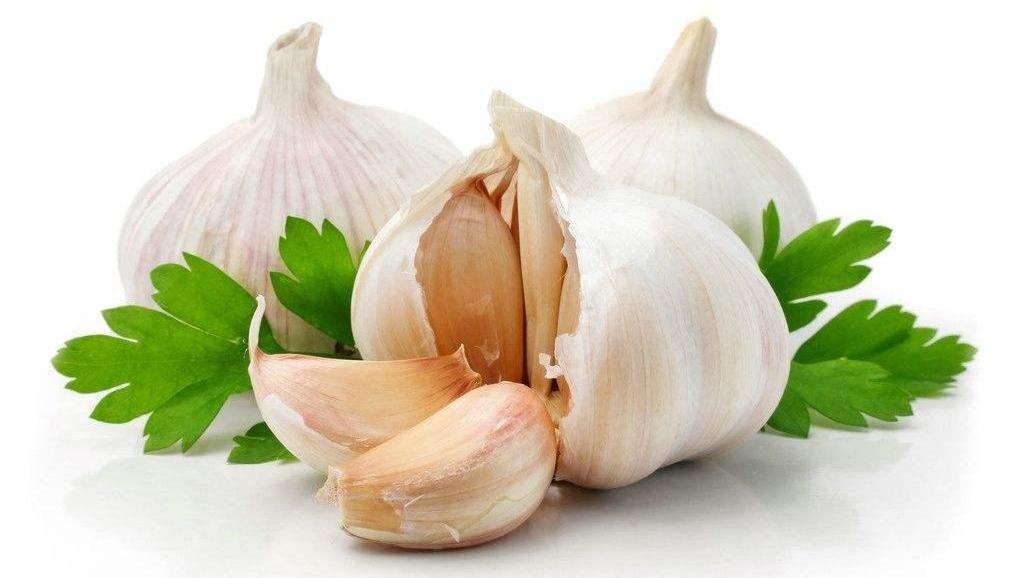 11207883409976131708.jpg?id=0