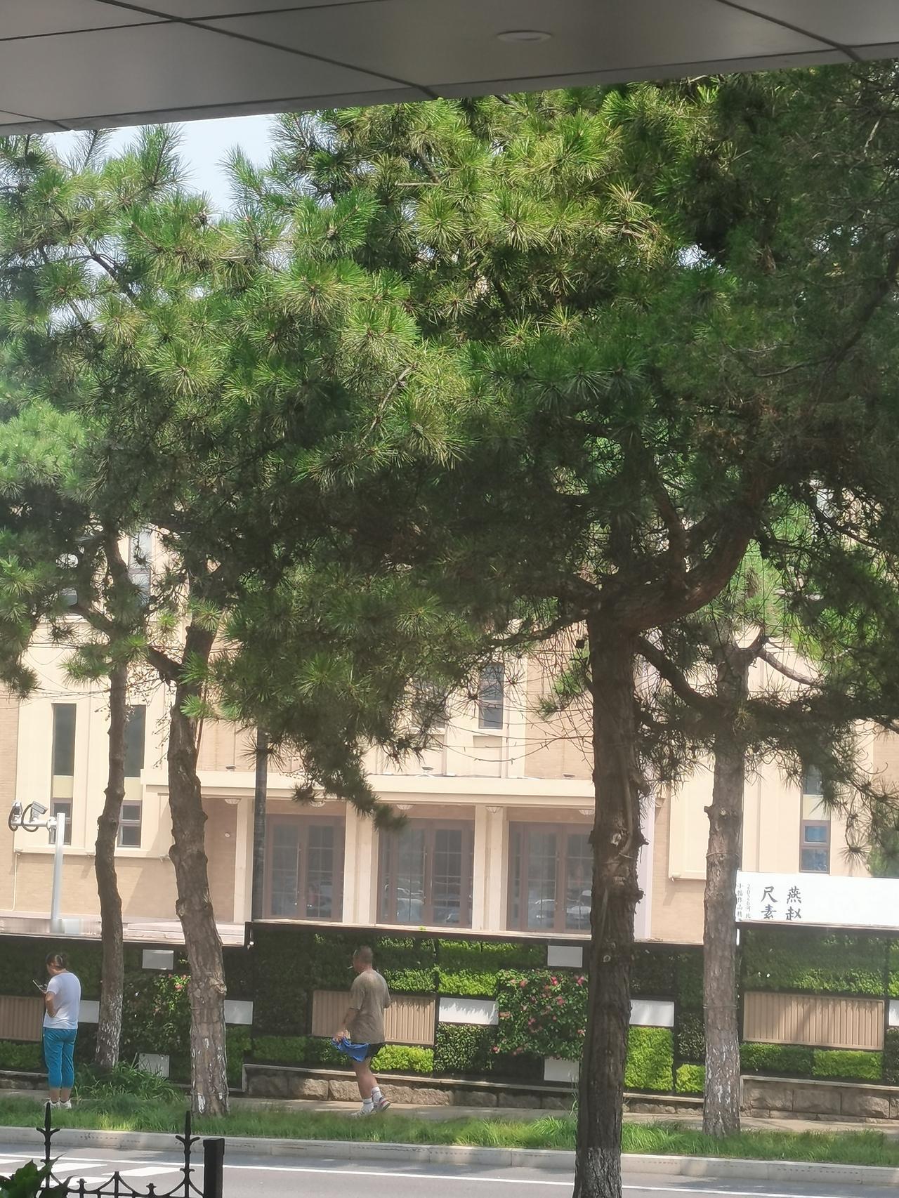 自驾北戴河有感：北京周边想找清凉地，太难了从北京自驾三个多小时抵达北戴河，