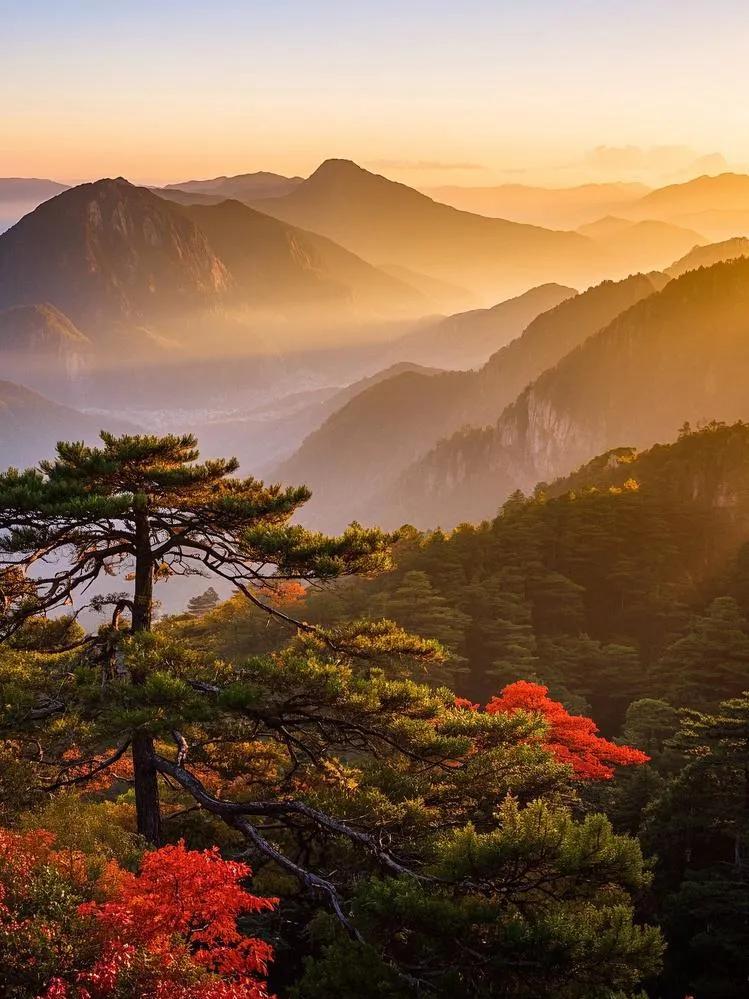 夕阳下，庐山连绵山峦似沉睡巨龙，山上松柏翠竹枫叶，披上金衣，微风吹过，叶声似赞阳