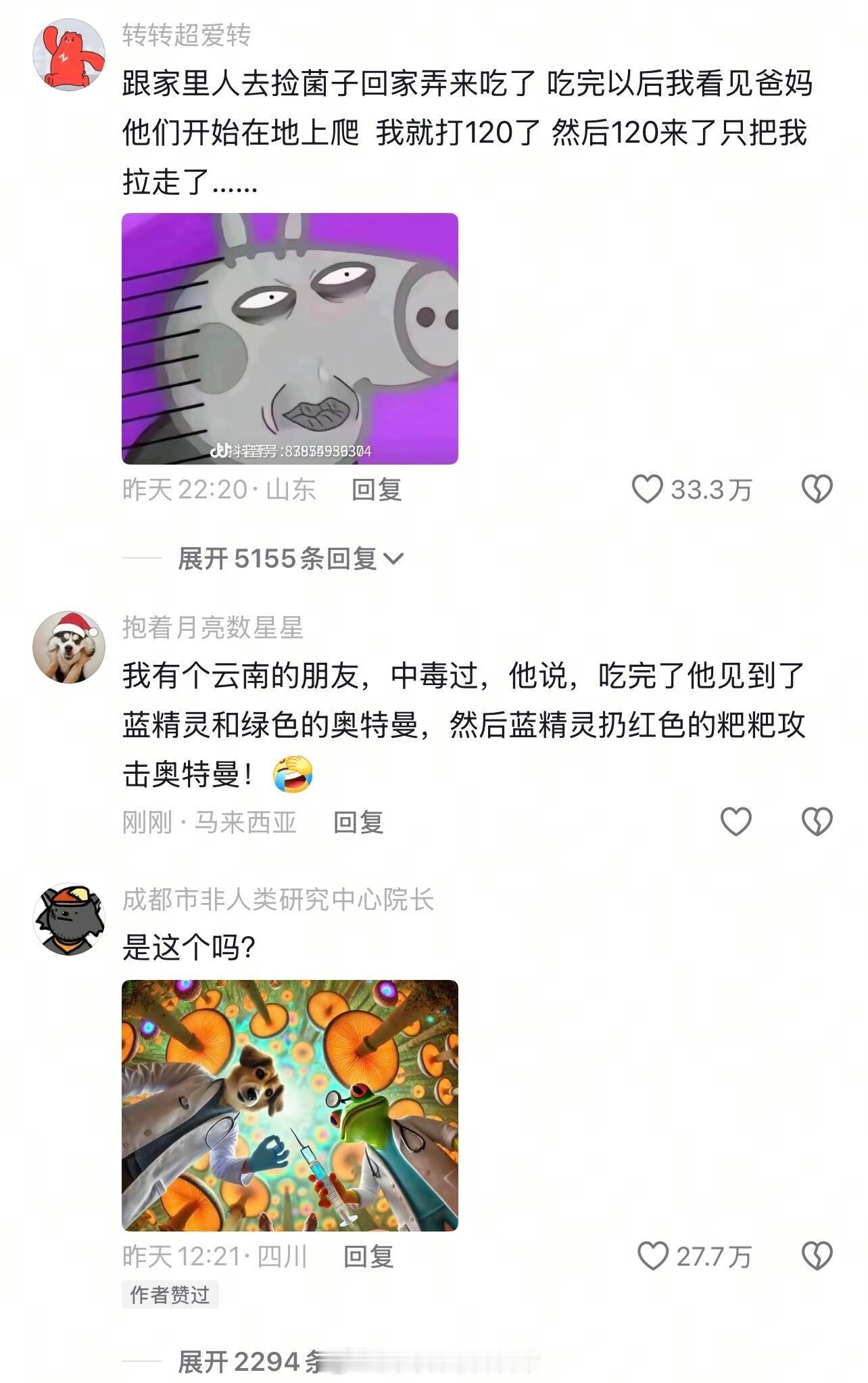 注意了，爱吃菌子的朋友们