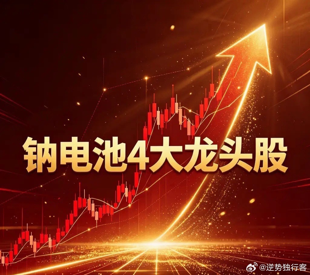 钠电池4大核心龙头股🔥·宁德时代（电池龙头）：行业绝对龙头，发布“钠新”电池