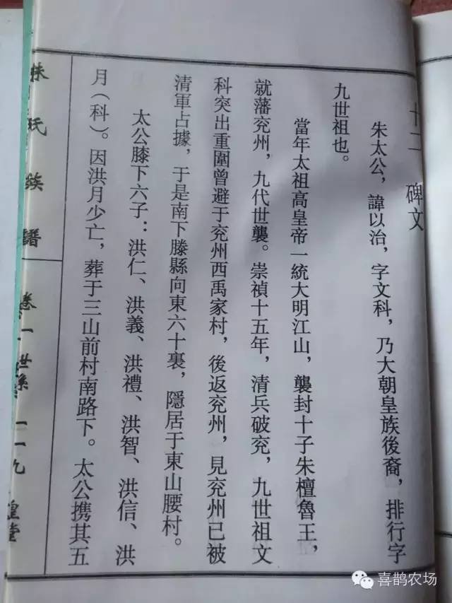 枣庄古槐树下的鲁王后裔——朱氏家族