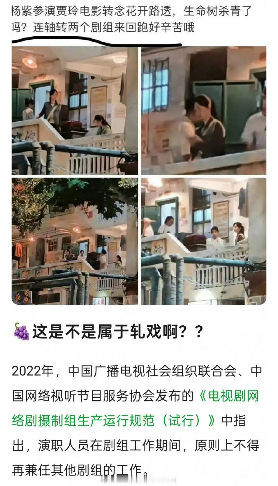杨紫被质疑轧戏电影《转念花开》和电视剧《生命树》也有网友解释《转念花开》只是客串