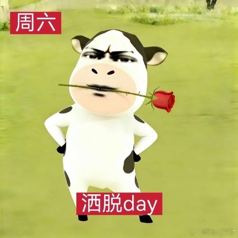 牛牛表情包。一人安利一部动漫动漫点评团