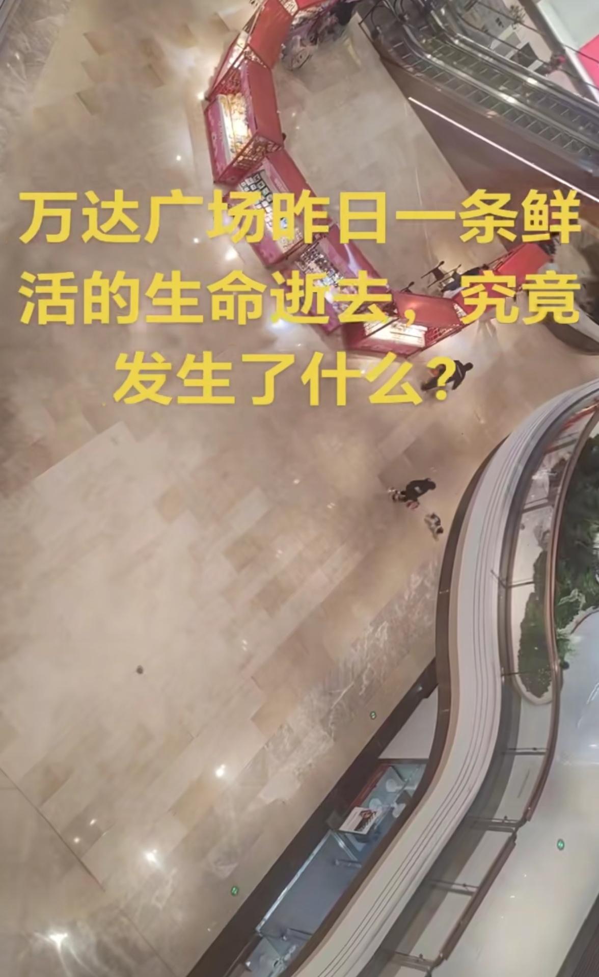 4月18号万达广场那个女人的纵身一跃，直接把我干沉默了。​商户叹息着道了句