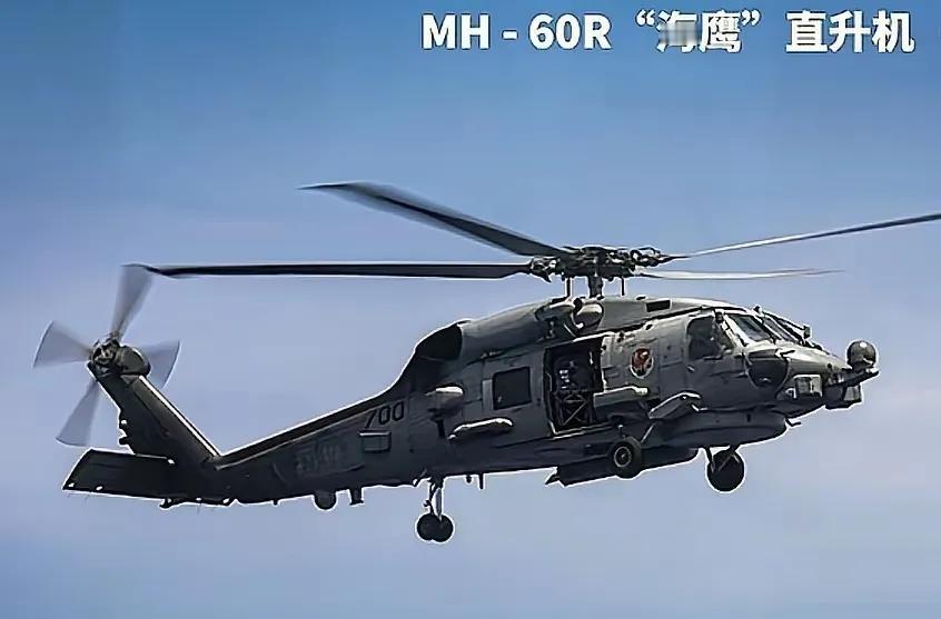 尼米兹：人救起来了吗？救援队：安然无恙！它俩呢？尼米兹：谁？！救援队：海鹰