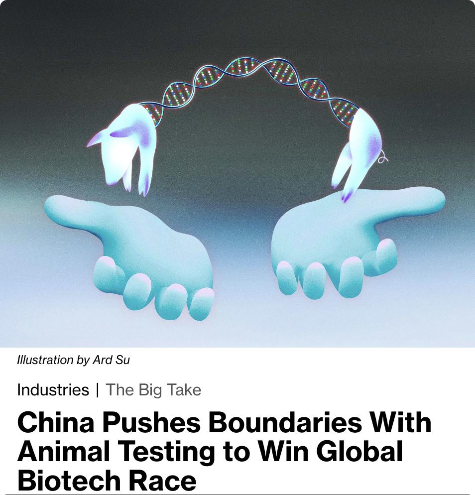 美媒：中国在生物技术领域的动物实验研究中正在突破传统边界，例如清华大学的一位教授