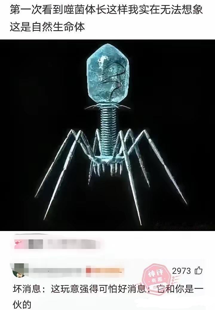确实，第一次看的时候不相信这个是自然生命体