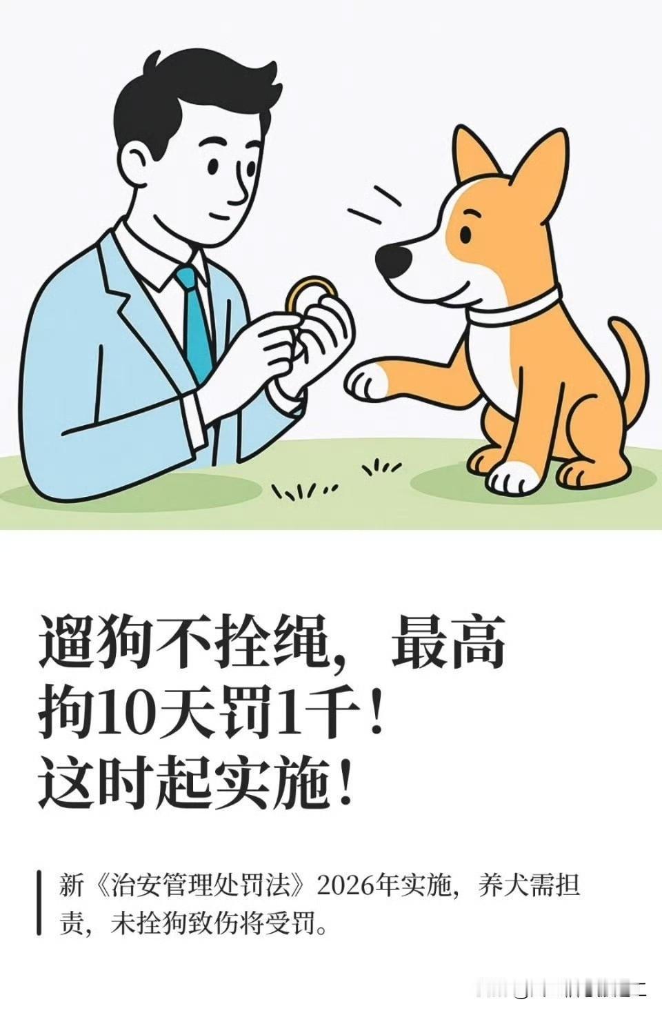 明年起遛狗不拴绳最高拘10天罚1千遛狗不牵绳终于是有处罚了。感觉可以效仿