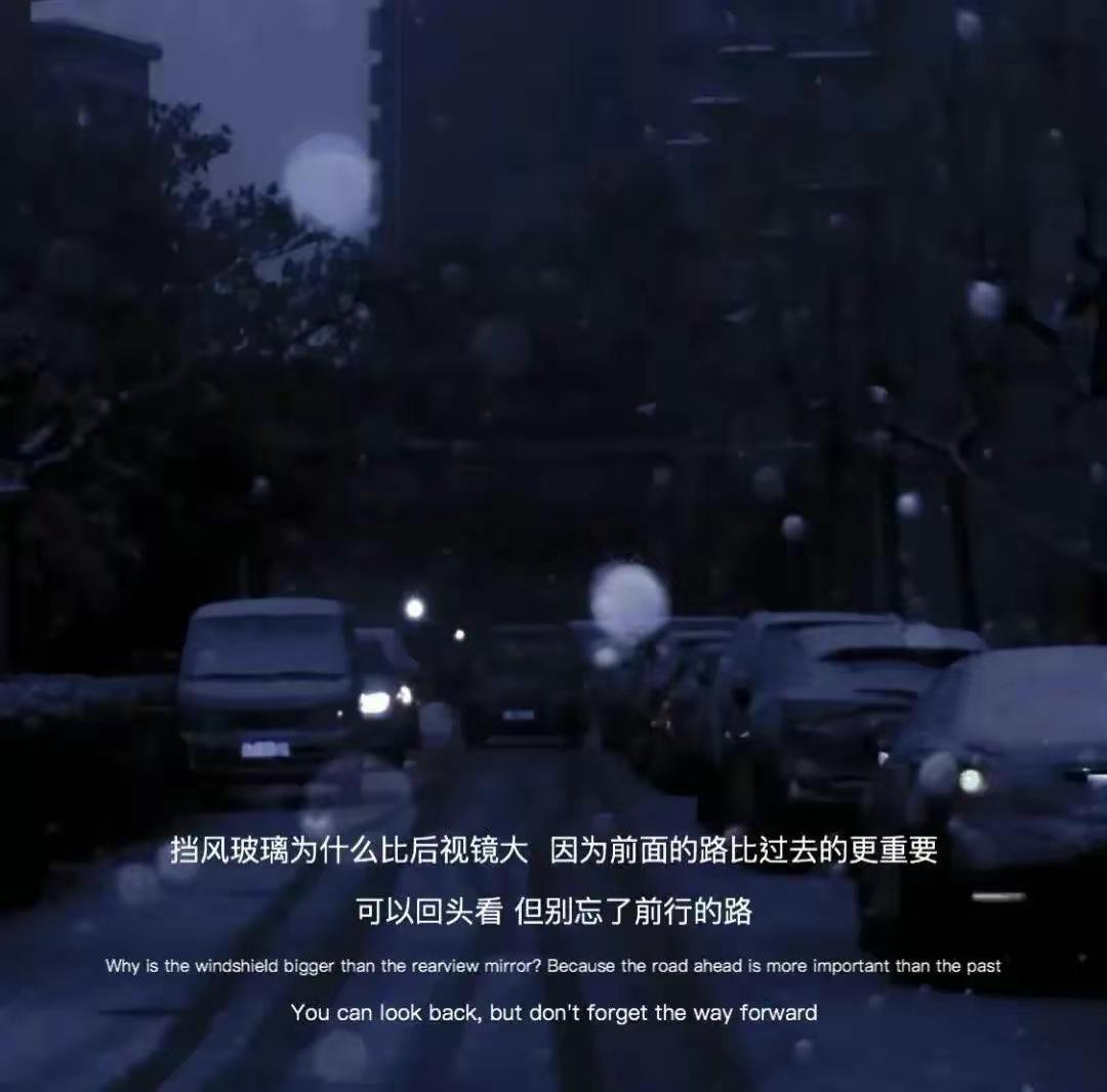 海王星守护的双鱼座，人生多带迷幻色彩，重视精神感受胜于物质，他们找的外遇对象不一