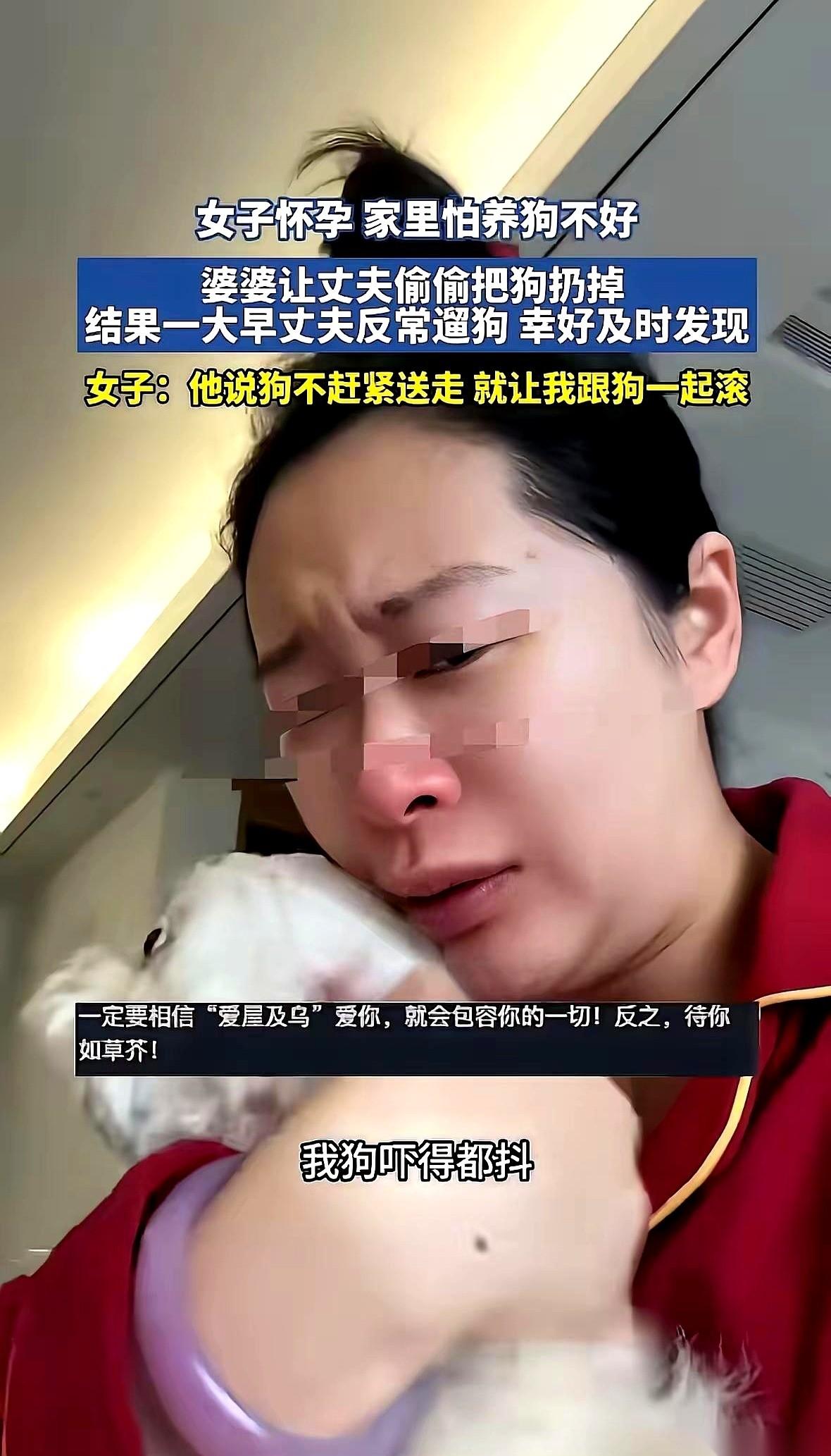 “我宁可不要肚里的孩子，也得保住我的狗！”女人这话一喊出来，她老公当场炸了，指