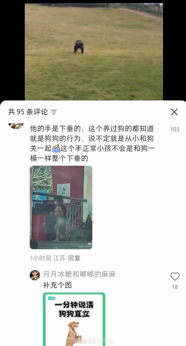野人小孩爸爸回应孩子不穿衣服确定不是虐待吗😡😡😡这已经完全适应四肢奔